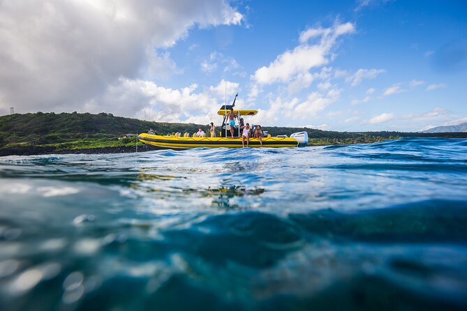 1.5-Hour Guided Whale Watching Tour - North Shore Surf Landmarks (and Why They Matter for Wildlife)