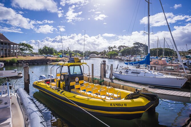 1.5-Hour Guided Whale Watching Tour - Crew Style: Helpful, Not Overbearing
