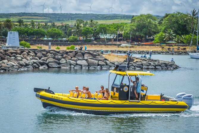 1.5-Hour Guided Whale Watching Tour - Price and Value: Why $99 Can Feel Fair