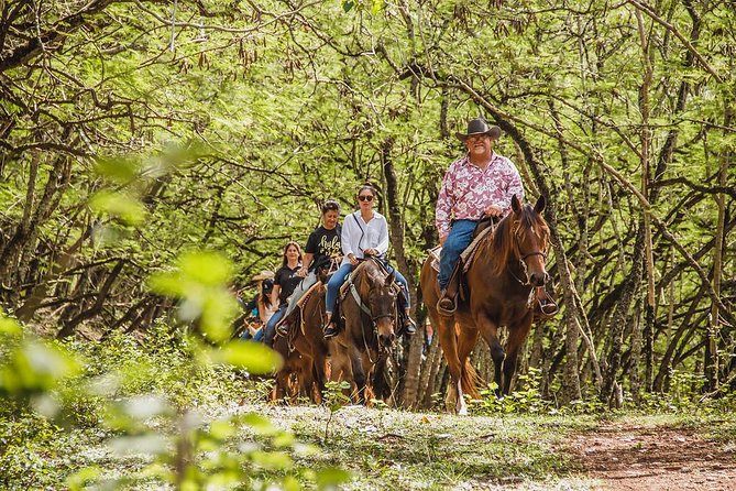 1 Hour Scenic Horseback Ride - Key highlights to know before you go