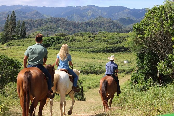 1 Hour Scenic Horseback Ride - Why this 1-hour horseback ride works on Oahu