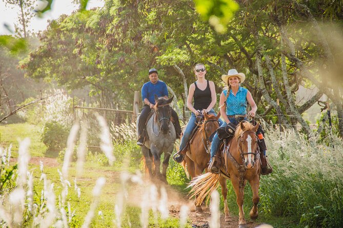 1 Hour Scenic Horseback Ride - Hidden Cave and the Hawaii 5-0 connection (what you’ll actually see)