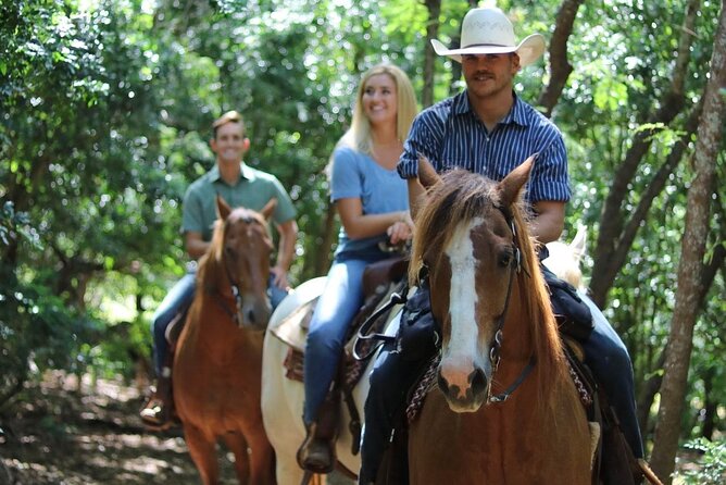 1 Hour Scenic Horseback Ride - Getting to Gunstock Ranch: the check-in flow you should plan around
