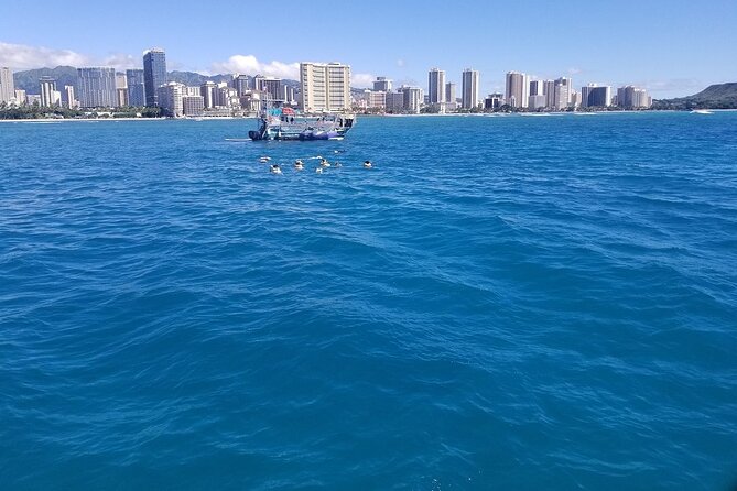 12pm Turtle Canyon Snorkel Adventure - Drinks, snacks, and that motion-sickness reality