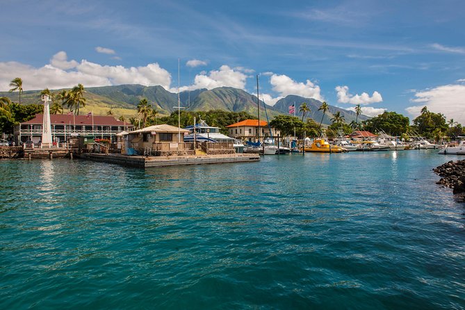 2-Hour Oahu Whale Watch from Ala Wai Harbor, Waikiki - Where the Tour Starts: Ala Wai Harbor and Your First Views