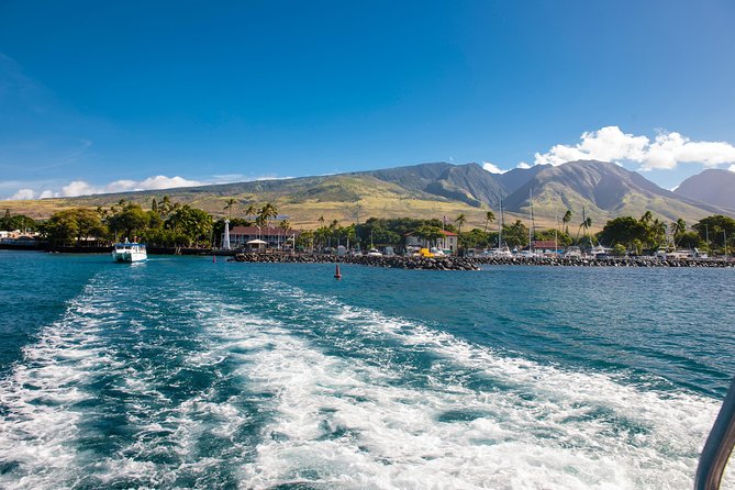 2-Hour Oahu Whale Watch from Ala Wai Harbor, Waikiki - Upper Deck vs Enclosed Cabin: Where Comfort Meets Whale Watching