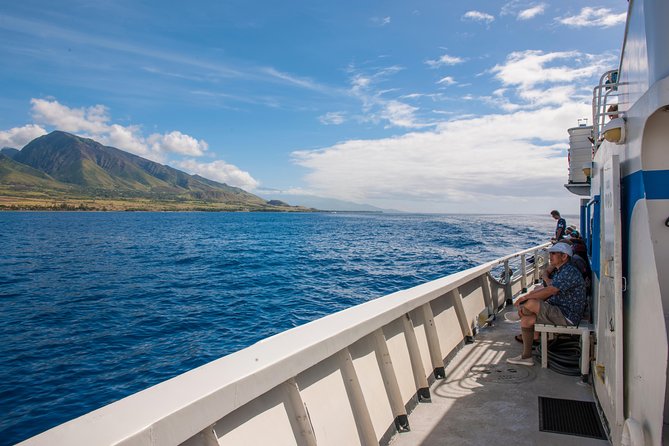 2-Hour Oahu Whale Watch from Ala Wai Harbor, Waikiki - What You’re Actually Looking For: Humpback Moves and the Crew’s Search