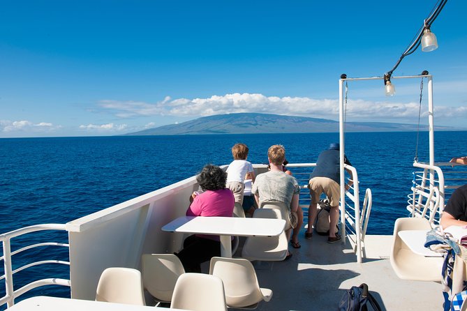 2-Hour Oahu Whale Watch from Ala Wai Harbor, Waikiki - BYOB, Snacks, and Seasickness Tips for a Smoother 2 Hours