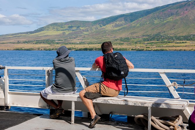 2-Hour Oahu Whale Watch from Ala Wai Harbor, Waikiki - Price and Value: Is $49.95 Worth It?