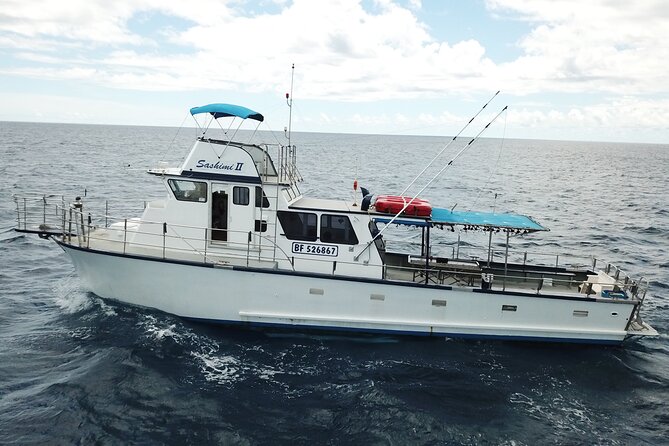 3-Hour Honolulu Bottom Fishing Adventure - Entering The Water: Where This Trip Starts and Why It Matters