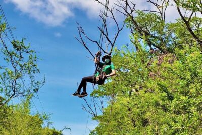 3 Zipline Adventure at Coral Crater with Optional Waikiki Shuttle - Getting There: Coral Crater Address, Optional Waikiki Pickup, and 30-Minute Check-In