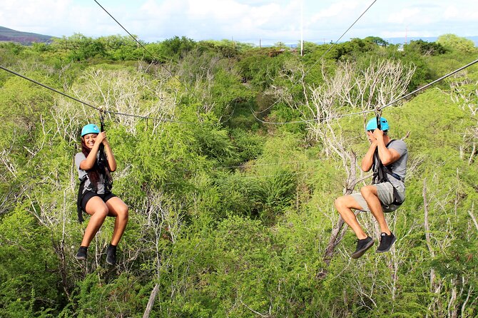 3 Zipline Adventure at Coral Crater with Optional Waikiki Shuttle - The In-Air Part: What the 1 to 1.5 Hour Zip Course Feels Like