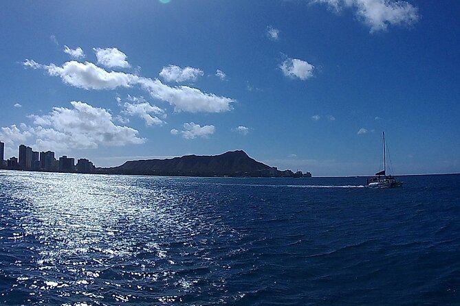 9am Turtle Canyon Snorkel Adventure - Snorkeling time in Turtle Canyon: turtles, fish, and real swimming conditions