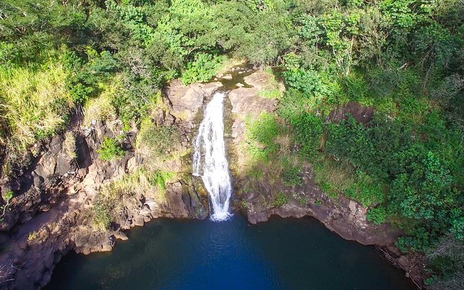 All Inclusive Ultimate Circle Island Tour, Waimea Falls & Lunch - Price and value: what $156.02 buys you on Oahu