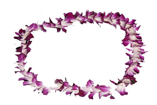 Aloha Lei Greeting on Arrival in Honolulu - Key Highlights You’ll Care About