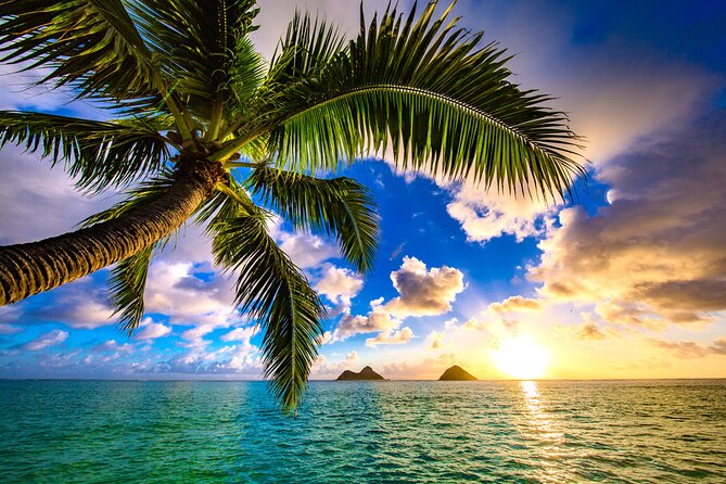 Aloha Lei Greeting on Arrival in Honolulu - Aloha Lei Greeting at Honolulu Airport: What the 15 Minutes Really Covers