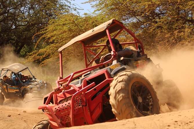 ATV Off Road Adventure - Key Points You Should Know Before You Go