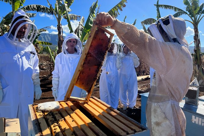 Bee Farm Ecotour and Honey Tasting in Waialua, North Shore Oahu - Honey Tasting at the End: Raw vs. Infused, and What It Teaches You