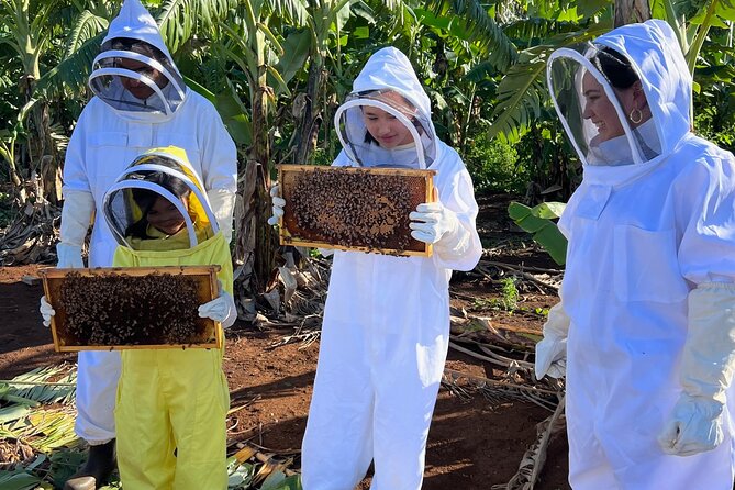 Bee Farm Ecotour and Honey Tasting in Waialua, North Shore Oahu - Service Style: Guides Who Keep It Friendly and Careful