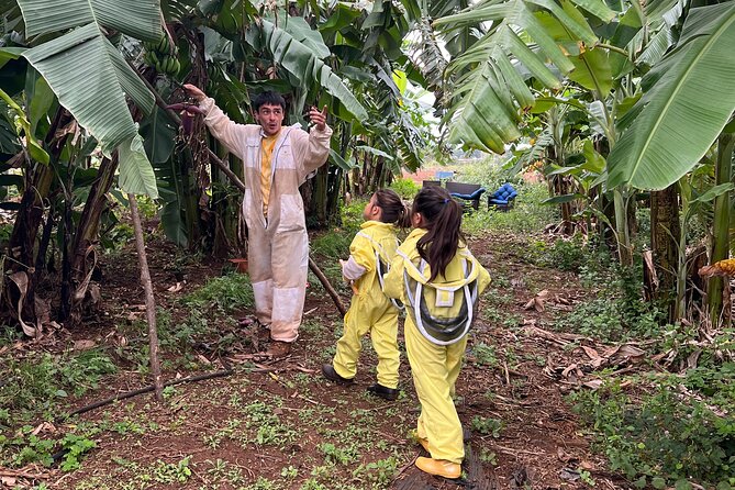 Bee Farm Ecotour and Honey Tasting in Waialua, North Shore Oahu - Getting Suited Up: The Start That Makes the Hives Less Scary