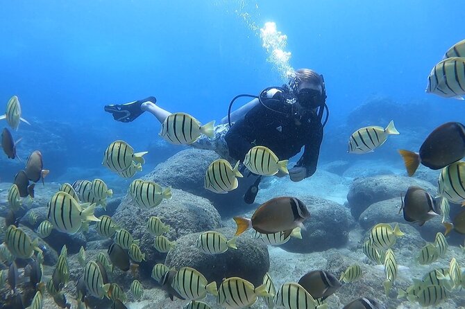 Beginner Scuba Diving Experience with Video Package in Honolulu - Small-group coaching with Kyle: where first-timers feel safest