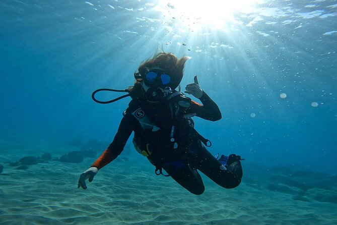 Beginner Scuba Diving Experience with Video Package in Honolulu - How to handle logistics smoothly (so you can enjoy the water)