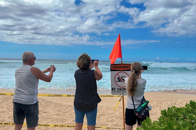 Best of Oahu Full-Day Small-Group Island Tour - Dole Plantation and the pineapple lesson you actually remember