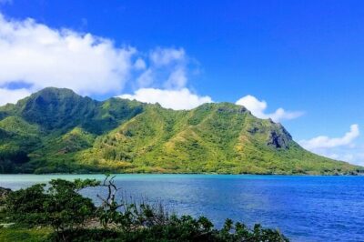 Best of Oahu Full-Day Small-Group Island Tour - Turtle Beach: amazing sightings, but don’t count on the exact stop