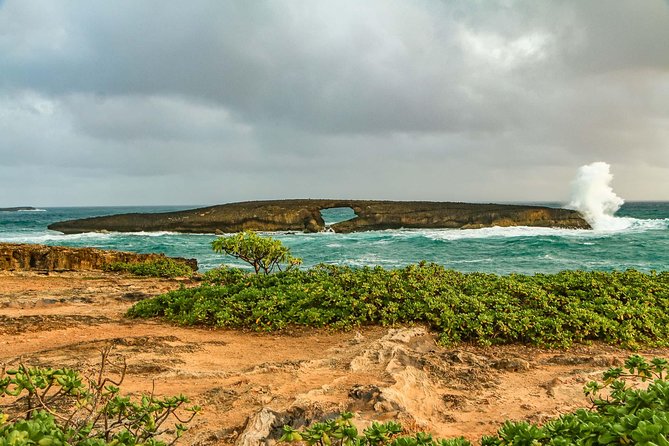 Best of Oahu: Pearl Harbor, Arizona Memorial and the Polynesian Cultural Center - Tropical Farms macadamia stop: short break, real payoff