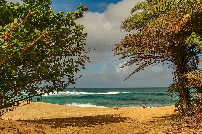 Best of Oahu: Pearl Harbor & Oahu Circle Island Tour from Waikiki - Downtown Honolulu drive-by: Kamehameha and Iolani Palace from the road