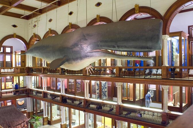 Bishop Museum General Admission Ticket - Quick hits before you go
