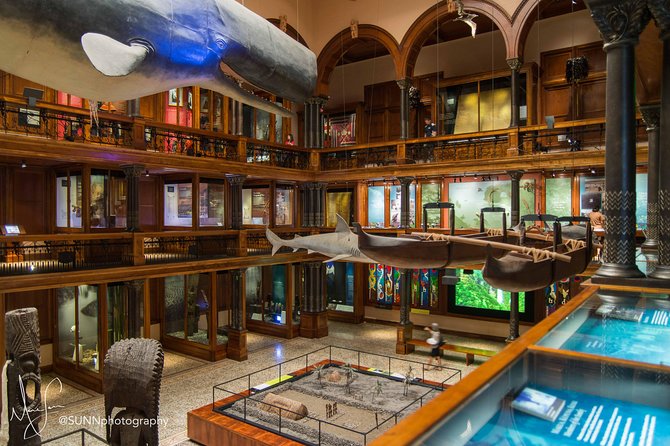 Bishop Museum General Admission Ticket - Science Adventure Center and the live lava melting show