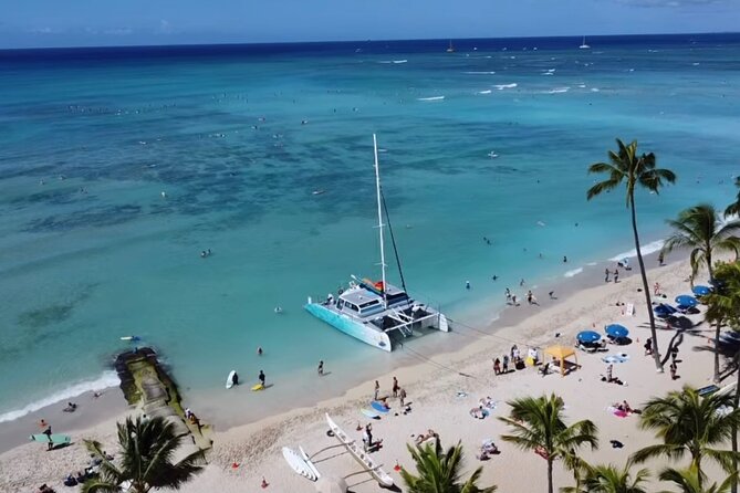 Board from Waikiki Beach for Aloha Hour Sail on Hāwea Catamaran - Marine life sightings: what to watch for (and how the crew helps)
