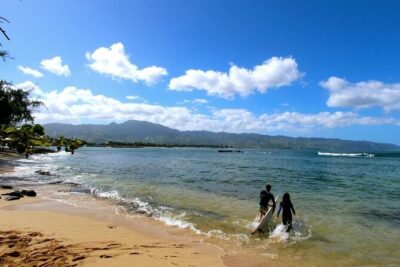 Cage-Free Shark Swim from Oahu - The schedule: timing, group size, and how long it really takes