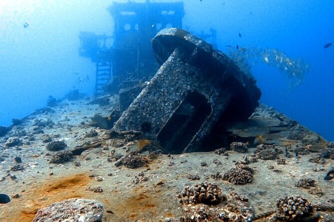 Certified Diver: 2-Tank Deep Wreck and Shallow Reef Dive Off Oahu - Why Oahu’s south shore wreck-and-reef combo works