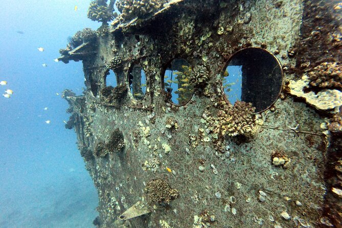 Certified Diver: 2-Tank Deep Wreck and Shallow Reef Dive Off Oahu - The shallow reef pipe: an easier second stop at around 50 ft