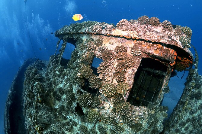 Certified Diver: 2-Tank Deep Wreck and Shallow Reef Dive Off Oahu - Value check: what $248.81 gets you (and what doesn’t)