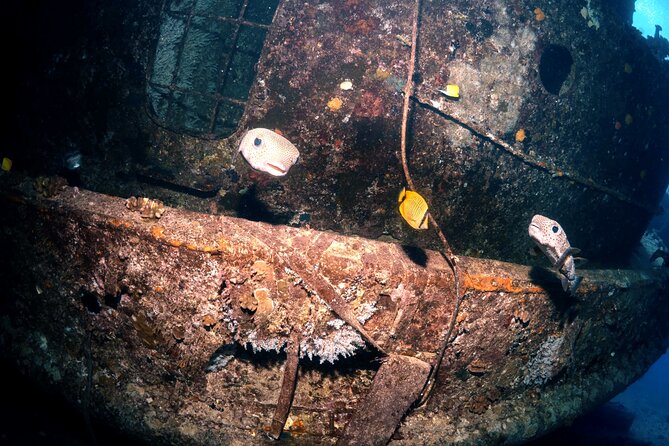 Certified Diver: 2-Tank Deep Wreck and Shallow Reef Dive Off Oahu - Who should book this charter—and who might want a different plan