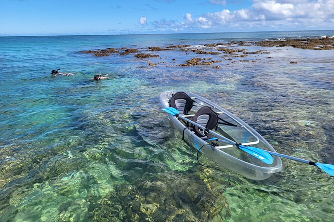 Clear Bottom Kayak - Guaranteed to see Turtles! - Key Points Before You Go
