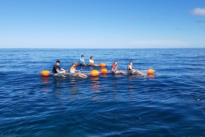 Clear Bottom Kayak - Guaranteed to see Turtles! - The Reef-and-Cave Route: Scenic Paddling With Real Rules