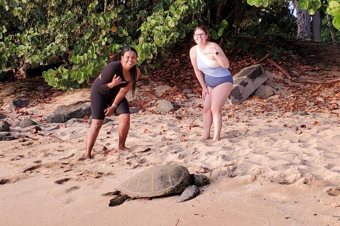 Clear Bottom Kayak - Guaranteed to see Turtles! - The “We Found Them” Part: How Guides Spot Turtles