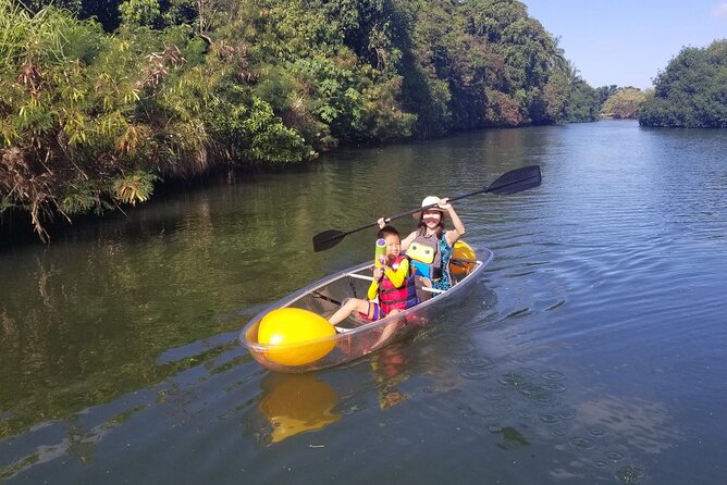 Clear Bottom Kayak - Guaranteed to see Turtles! - Value Check: Is $172.77 Worth It?