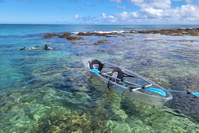 Clear Bottom Kayak - Guaranteed to see Turtles! - How the Clear-Bottom Kayak Changes Turtle-Spotting