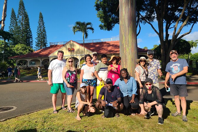 Cruise Ship with Direct "Pier Pick Up" All Fee's Included - Chinaman’s Hat (Mokolii): A Photo Stop With Meaning