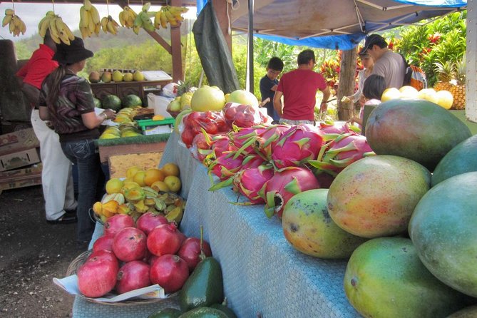 Custom Island Tour - for 4 to 5 people - up to 8 hours - Private tour of Oahu - Comfort and Family Setup: Booster Seats, Strollers, and Quiet Sanity