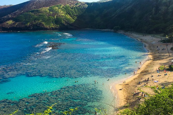 Customizable Island Tours Tours on Oahu - Waterfalls and Viewpoints: Makapu’u, Manoa, and Waimea Valley
