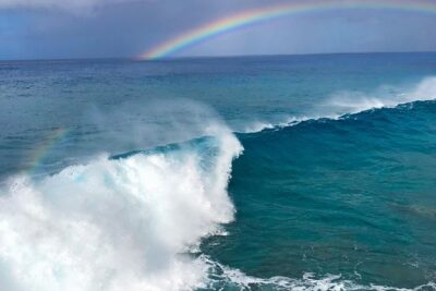 Customizable Island Tours Tours on Oahu - North Shore Planning: Waimea Bay and Sunset Beach Time