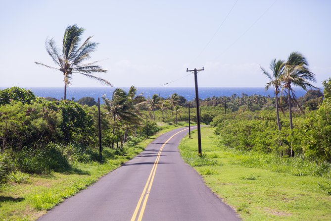 Day Trip from Oahu to Hilo: Volcano Adventure - Chain of Craters Road plus quick volcano stops: short windows, big payoffs