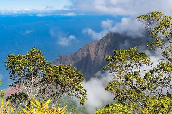 Day Trip from Oahu to Kauai: Highlights & Movie Sites - Hanalei Valley Lookout: short stop, big sense of scale