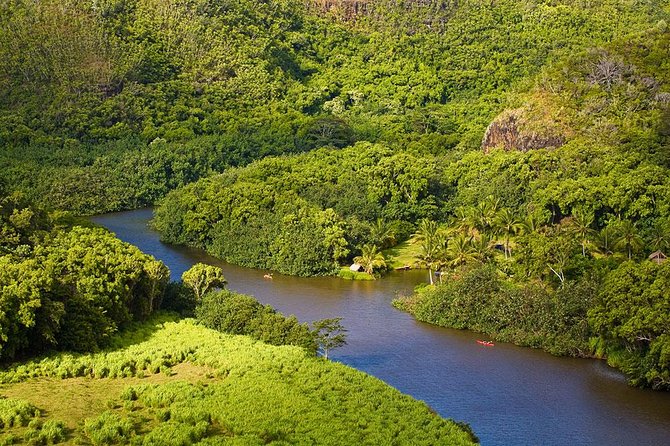 Day Trip from Oahu to Kauai: Waimea Canyon & Wailua River - Fern Grotto: Boston ferns, a cavern feel, and an easy walking moment